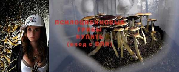 ALPHA-PVP Дмитровск