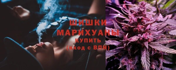 PSILOCYBIN Семилуки